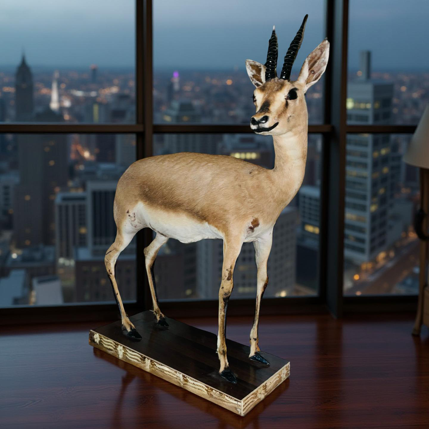 Real Stuffed Deer (Gazelle/Antelope) Taxidermy Decor