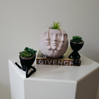 Trinity Faces Planter