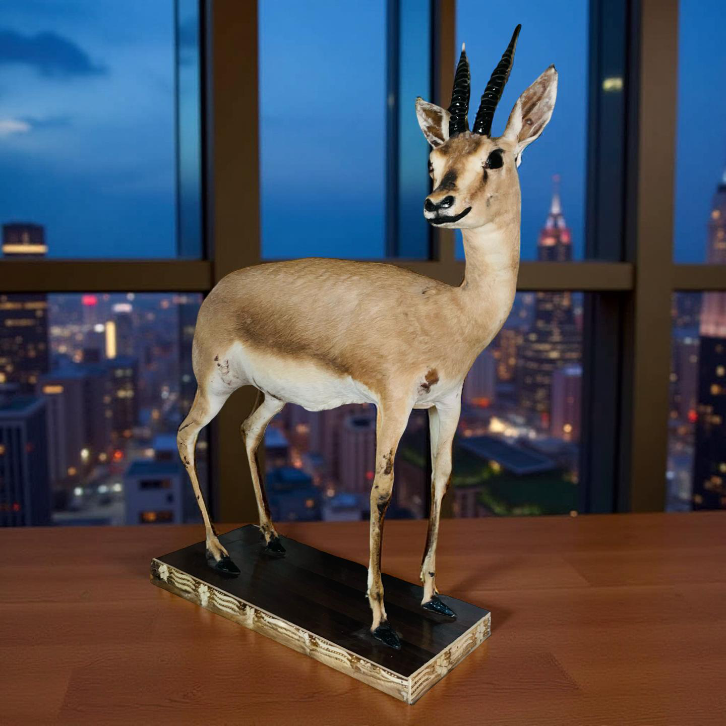Real Stuffed Deer (Gazelle/Antelope) Taxidermy Decor