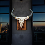 Bull Skull Wall Decor