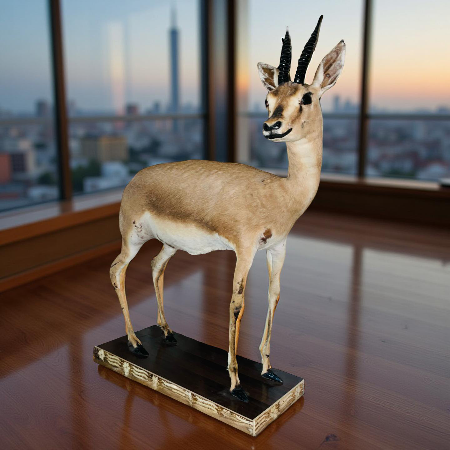 Real Stuffed Deer (Gazelle/Antelope) Taxidermy Decor